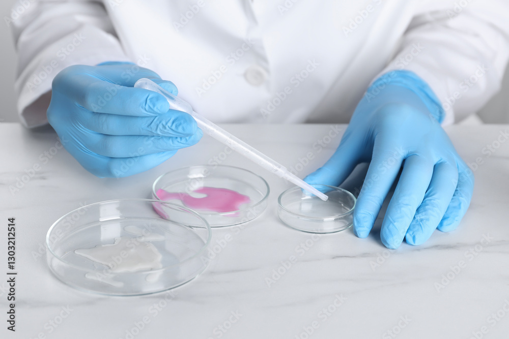 Fototapeta premium Laboratory testing. Scientist working with Petri dishes at white marble table, closeup