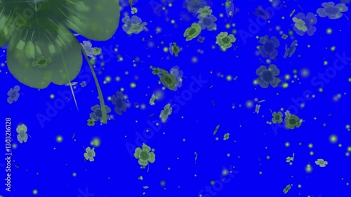 Lucky shamrocks, shiny stars and glowing glittering particles on a dark green gradient background. This Saint Patrick's Day celebration party background. On an alpha channel, transparent background .
