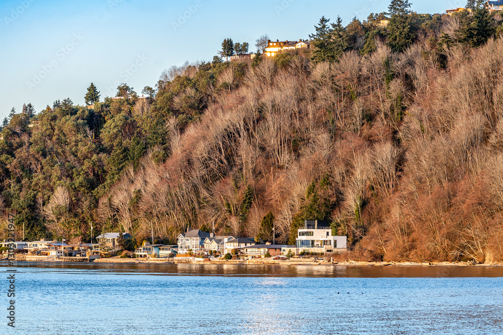 Naklejka premium Winter Shoreline Landscape 4