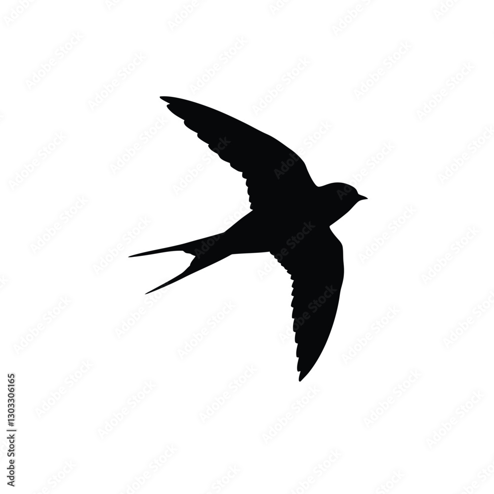 Obraz premium seagull in flight