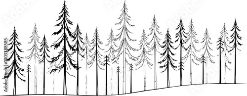Outline pine forest minimalistic monochrome vector landscape.