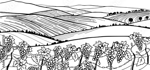Minimalist vineyard landscape outline elegant line art vector design.