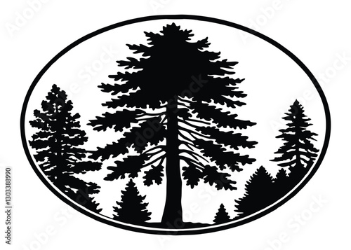 Silhouette of Redwood Tree isolated on a white background