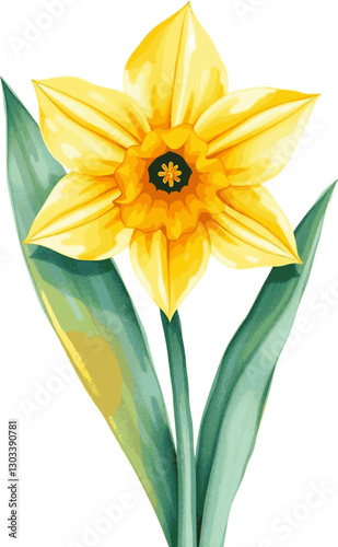 Watercolor daffodil with bright yellow petals elegant floral illustration.