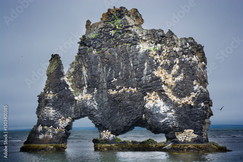 Hvítserkur tall basalt rock...