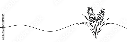 Continuous one line drawing of wheat. Barley or Rye outline vector illustration. One continuous line of wheat