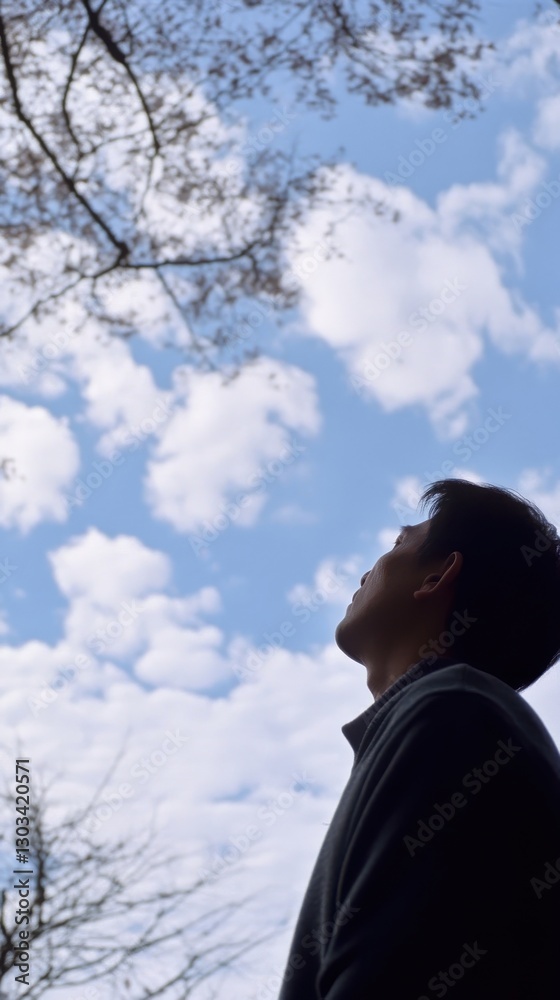 Silhouette Serenity Observing the Blue Sky with Clouds in Natural Open Air Setting View Silhouette Serenity Observing the Blue Sky with Clouds in Natural Open Air Setting View