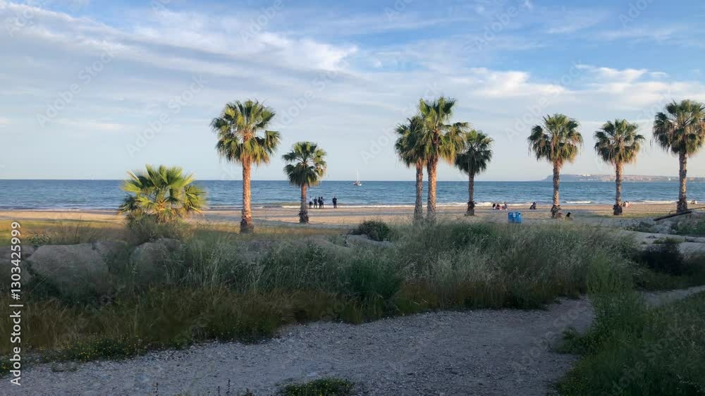 People strolling and lying sunbathing on a tropical beach with palm trees and ocean view People strolling and lying sunbathing on a tropical beach with palm trees and ocean view