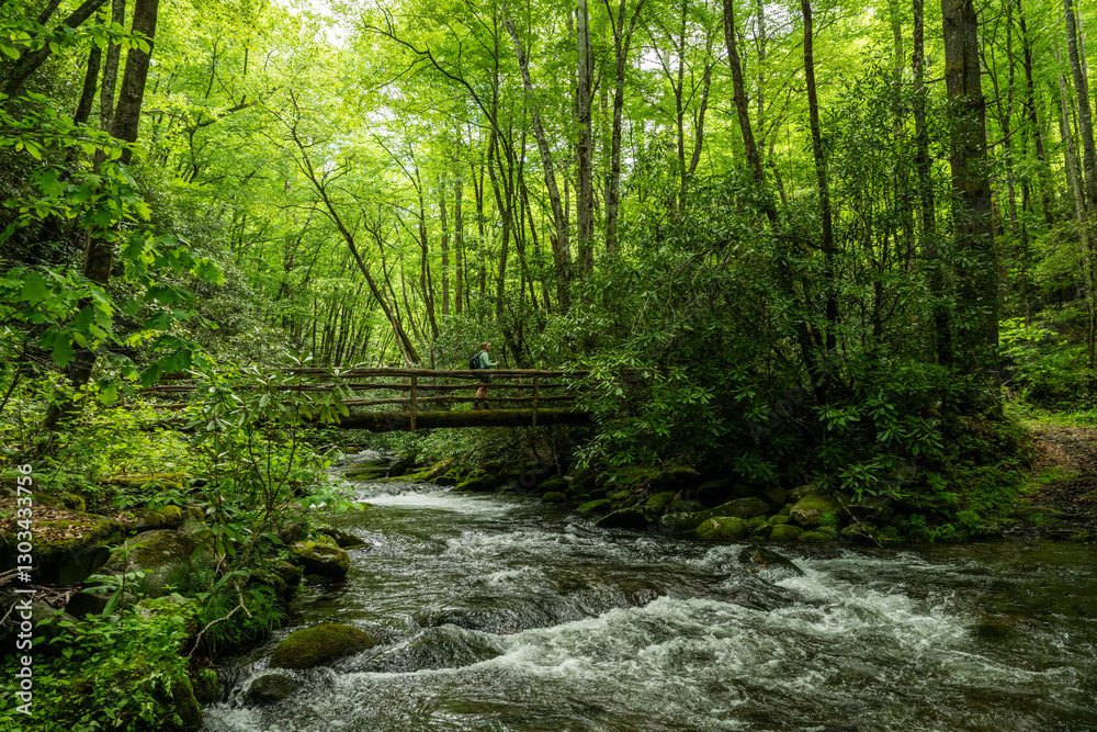 Obraz premium Woman Crosses Bridge Along Noland Creek In Great Smoky Mountains
