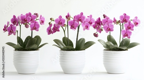 Wallpaper Mural Delicate pink orchids bloom gracefully in sleek white pots, their soft petals exuding elegance against a minimalist backdrop. Torontodigital.ca
