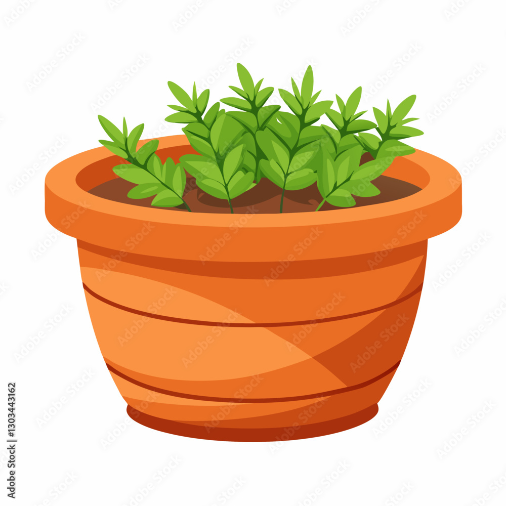 plant in a pot plant in a pot