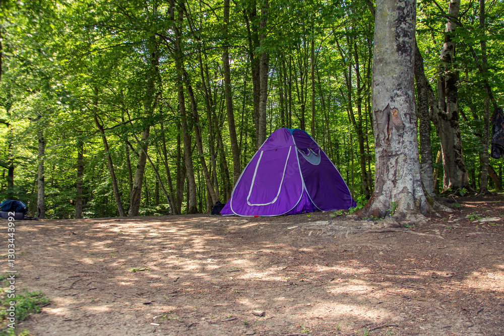 Tourist tent on the background of an forest. Tourist tent on the background of an forest.