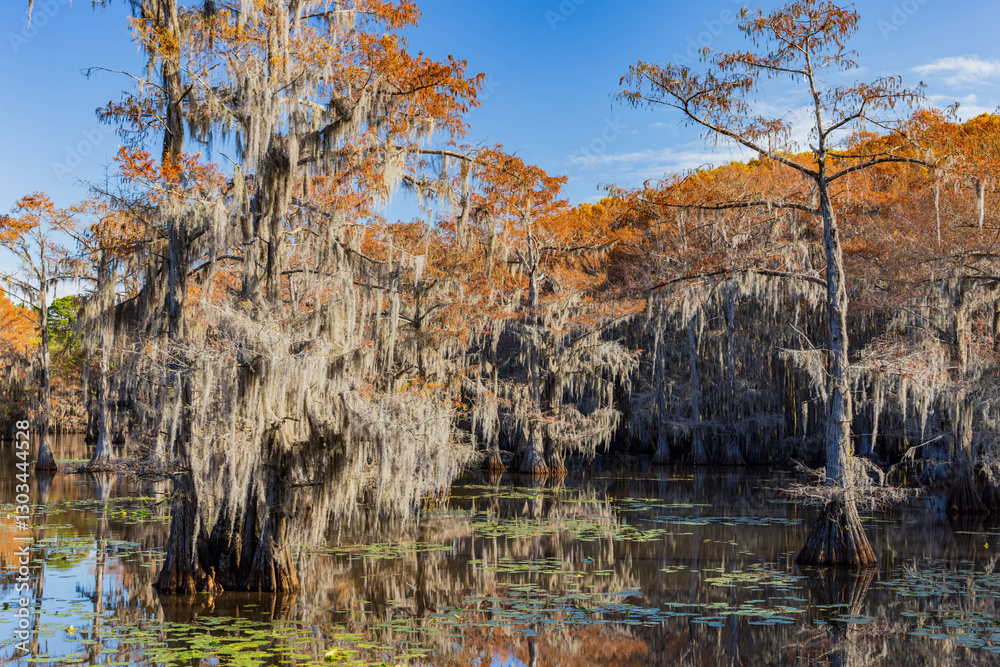 Sunny view of Caddo Lake State Park stunning fall colors.