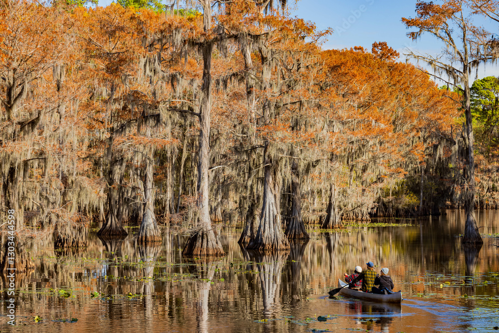 Sunny view of Caddo Lake State Park stunning fall colors.