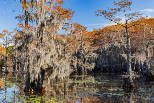 Obraz na płótnie Sunny view of Caddo Lake State Park stunning fall colors. w salonie