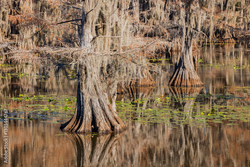 Sunny view of Caddo Lake State Park stunning fall colors.