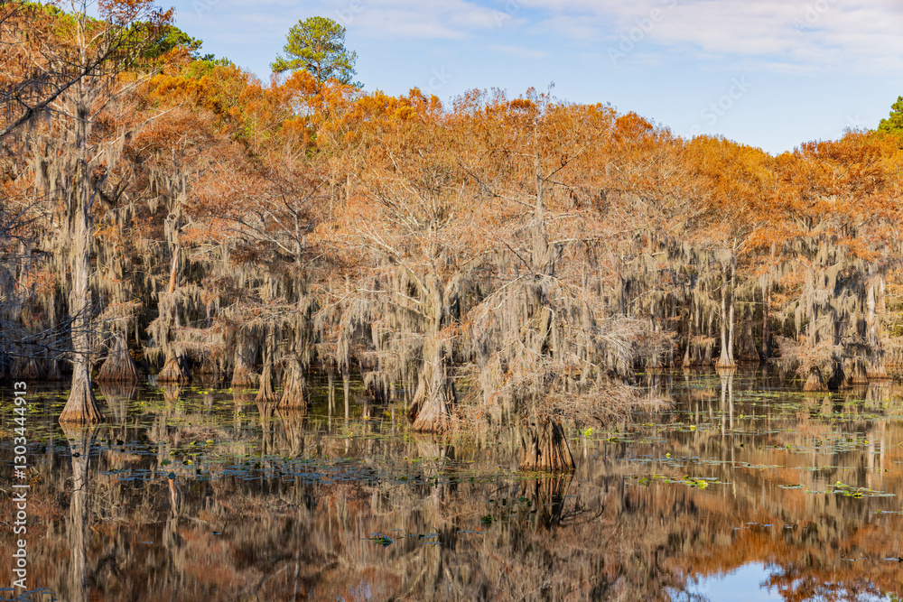 Sunny view of Caddo Lake State Park stunning fall colors.