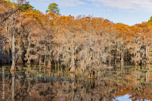 Obraz na płótnie Sunny view of Caddo Lake State Park stunning fall colors. w salonie
