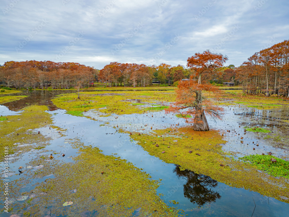 Aerial view of Caddo Lake State Park stunning fall colors.