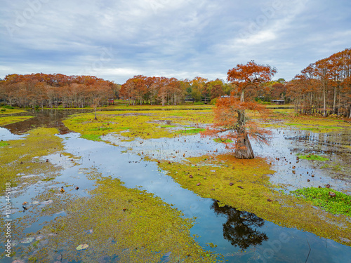 Obraz na płótnie Aerial view of Caddo Lake State Park stunning fall colors. w salonie