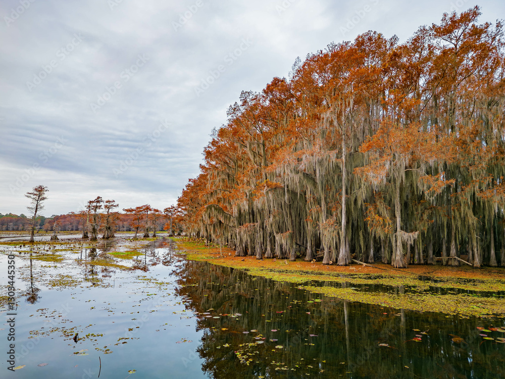Aerial view of Caddo Lake State Park stunning fall colors.