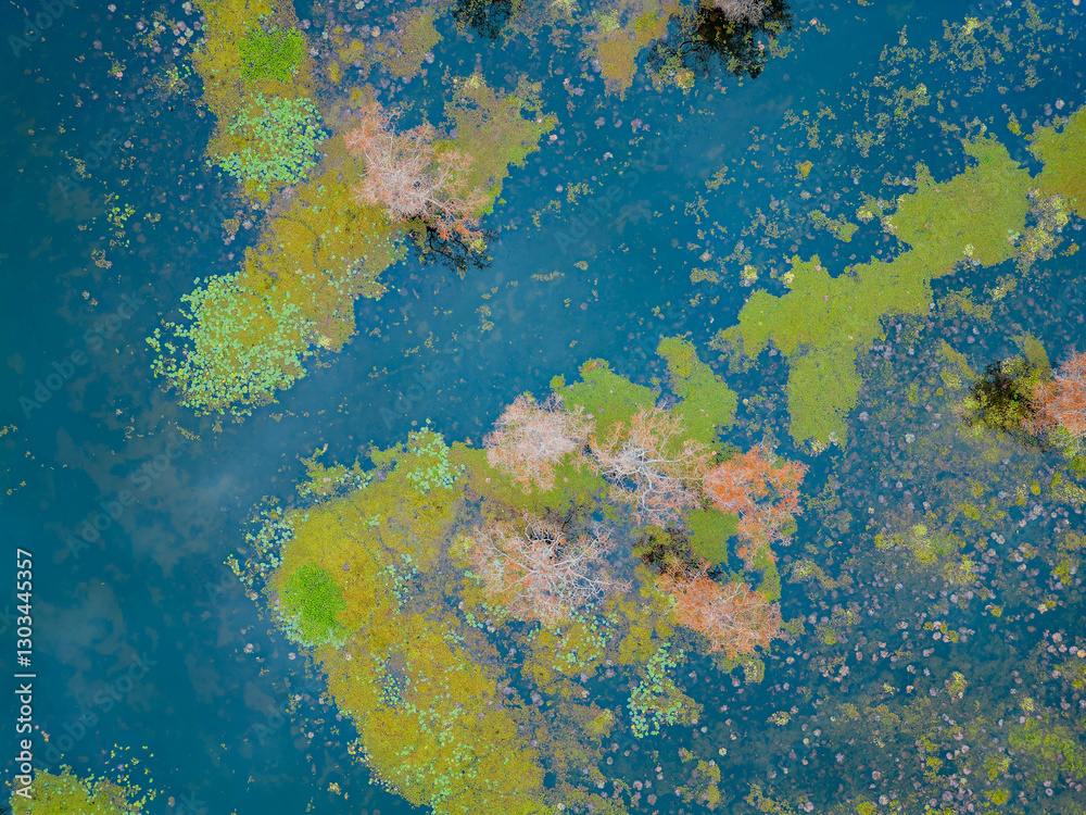 Aerial view of Caddo Lake State Park stunning fall colors.