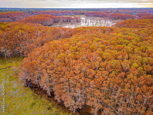 Obraz na płótnie Aerial view of Caddo Lake State Park stunning fall colors. w salonie