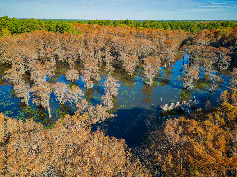 Aerial view of Caddo Lake State Park stunning fall colors.