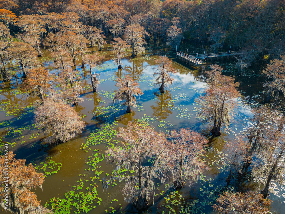 Aerial view of Caddo Lake State Park stunning fall colors.
