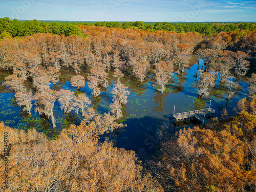 Obraz na płótnie Aerial view of Caddo Lake State Park stunning fall colors. w salonie