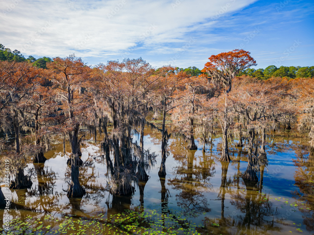Aerial view of Caddo Lake State Park stunning fall colors.
