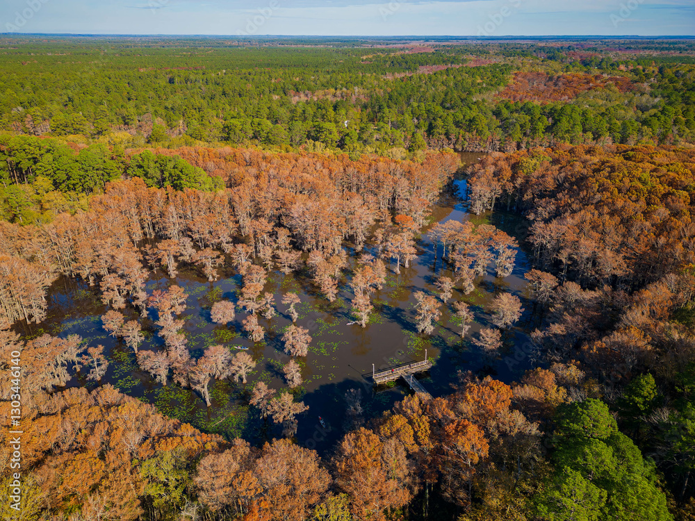 Aerial view of Caddo Lake State Park stunning fall colors.