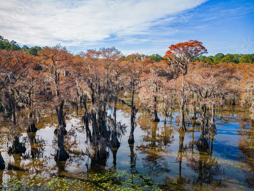 Obraz na płótnie Aerial view of Caddo Lake State Park stunning fall colors. w salonie