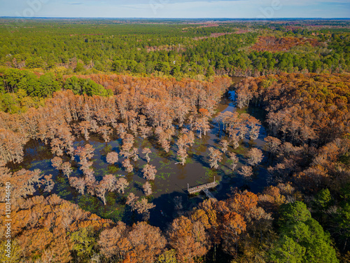 Obraz na płótnie Aerial view of Caddo Lake State Park stunning fall colors. w salonie