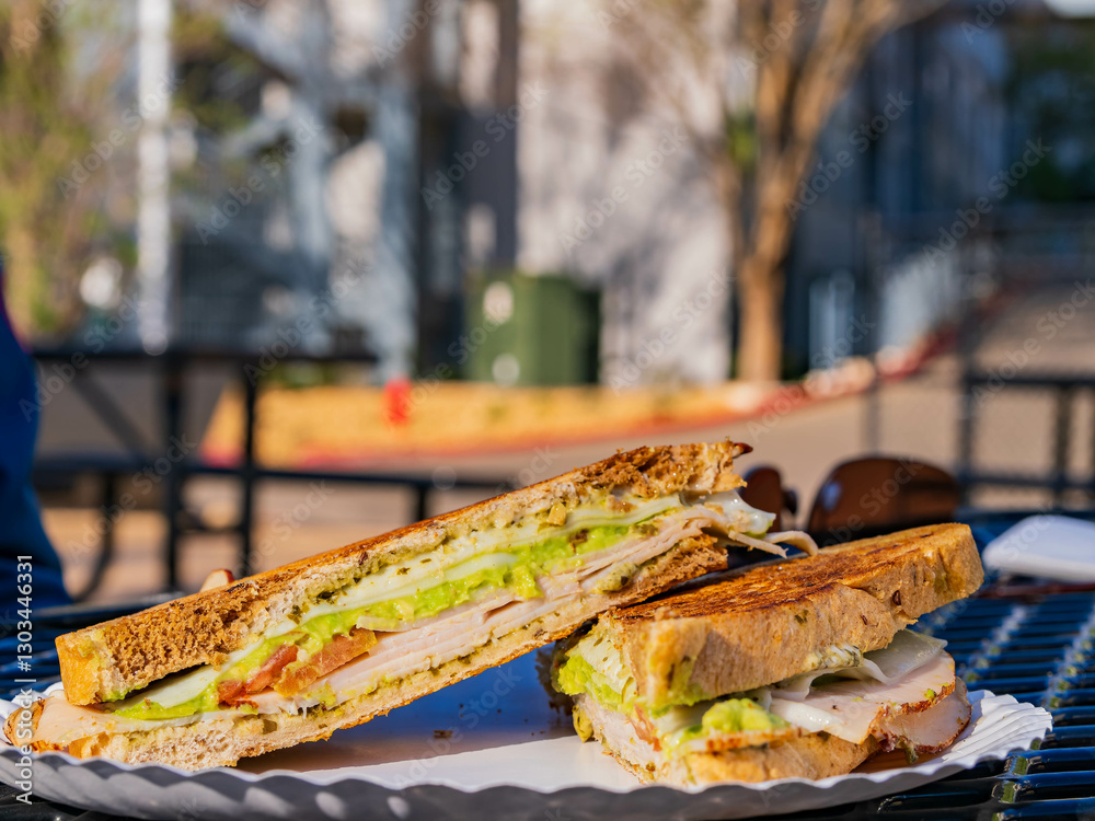 Close up shot of delicious grill sandwich