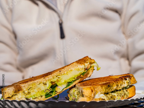 Close up shot of delicious grill sandwich