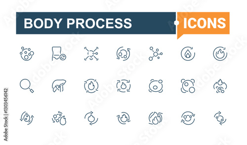 Body Process line icon. Included icons as sugar, salad, meal, lactose, slim, obesity, metabolism, detox. Line with editable stroke. Vector icon and illustration.