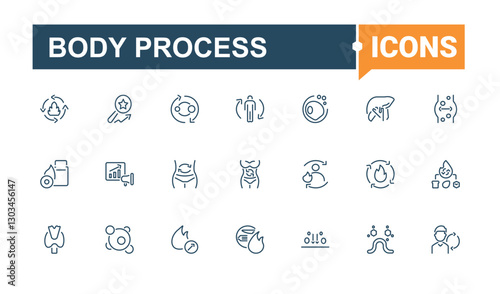 Body Process line icon. Included icons as sugar, salad, meal, lactose, slim, obesity, metabolism, detox. Line with editable stroke. Vector icon and illustration.