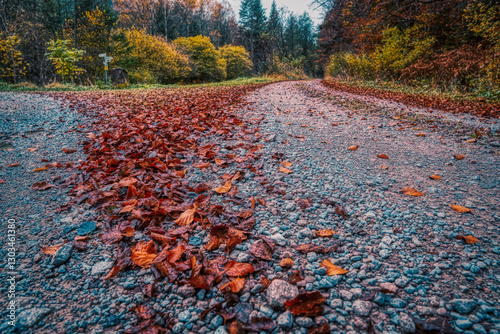 autumn in the park