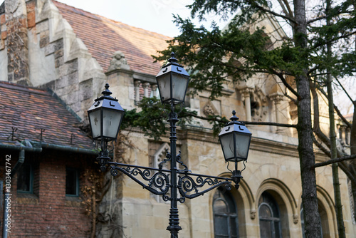 The lamp in the apartment, made as a mid-torch torch in the castle. photo