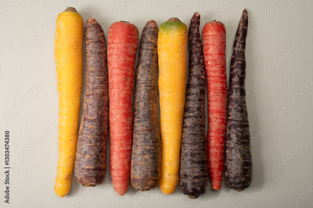 Colorful fresh raw purple, yellow, red and purple-orange carrots roots vegetables from greenhouse in the Netherlands Colorful fresh raw purple, yellow, red and purple-orange carrots roots vegetables from greenhouse in the Netherlands