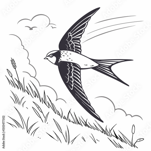 A detailed vector illustration of the Common Swift, the fastest bird in level flight. Perfect for wildlife art, birdwatching themes, and nature-inspired designs.