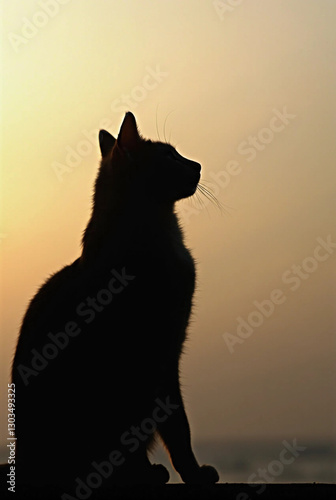 Silhouette of a cvat against a serene sunset background with artistic charm