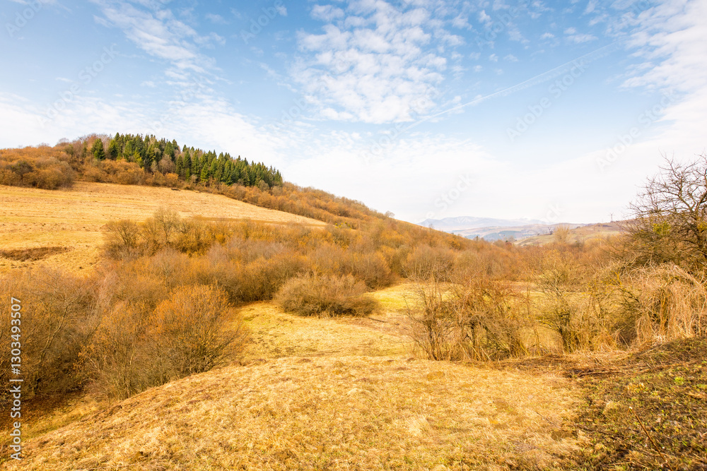 countryside scenery in march. meadow on the hill. cloudy weather. forested carpathian mountain landscape in early spring. scenery with pikui peak of watershed ridge in the distance. vacation in europe
