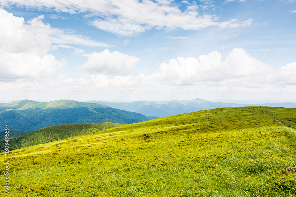 alpine meadow of mountain smooth in summer. scenic wilderness with green hill. cloudy weather. watershed ridge of ukrainian carpathians in the distance. wonderful tourism in europe