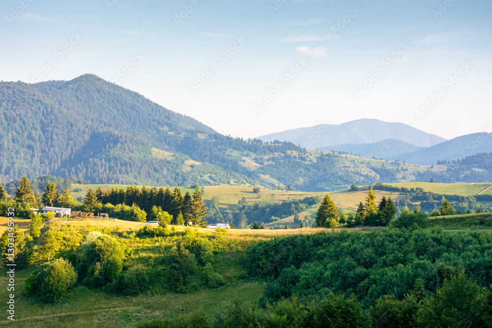 rural area of transcarpathia in summer. beautiful view. countryside scenery with rolling hills in morning light. carpathian mountain landscape of ukraine on a sunny day. provincial outdoor adventure