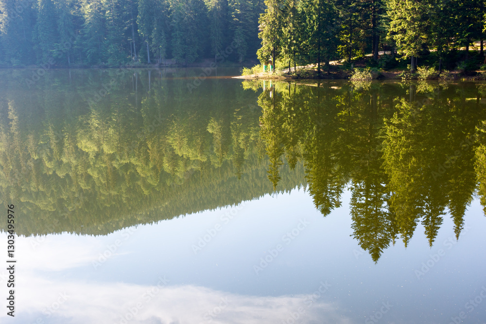 coniferous forest reflection on the lake surface. vacation season. nature background of synevyr national park of ukraine on a sunny morning in summer. landscape with blue sky and cloud