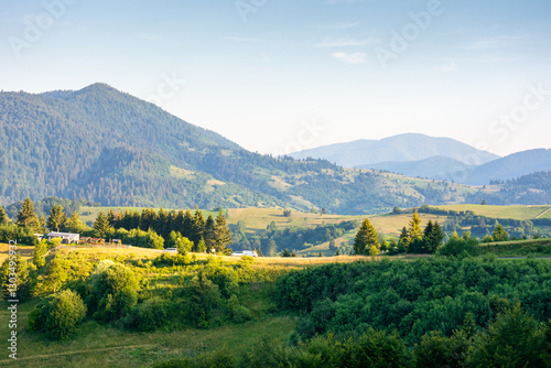 Obraz na płótnie rural area of transcarpathia in summer. beautiful view. countryside scenery with rolling hills in morning light. carpathian mountain landscape of ukraine on a sunny day. provincial outdoor adventure w salonie