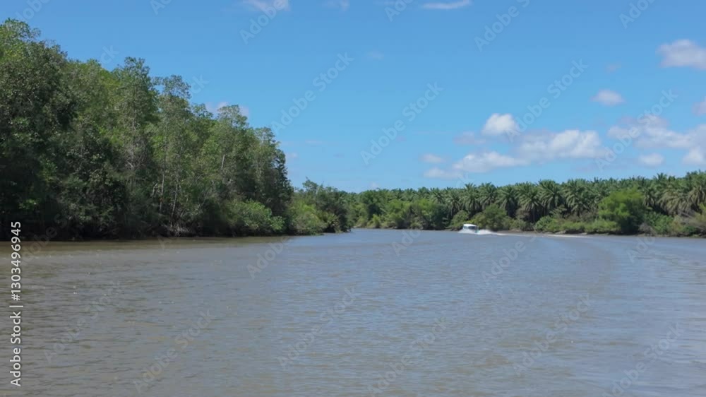 Lush Tropical Landscape Along the Sierpe River, Costa Rica Lush Tropical Landscape Along the Sierpe River, Costa Rica