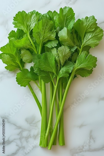 Fresh Green Lettuce Growing in Pots on a Rustic Surface in a Garden Setting